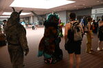 DSC_9023.JPG